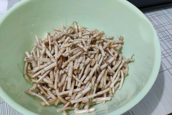 凉拌折耳根（鱼腥草）的做法图解2