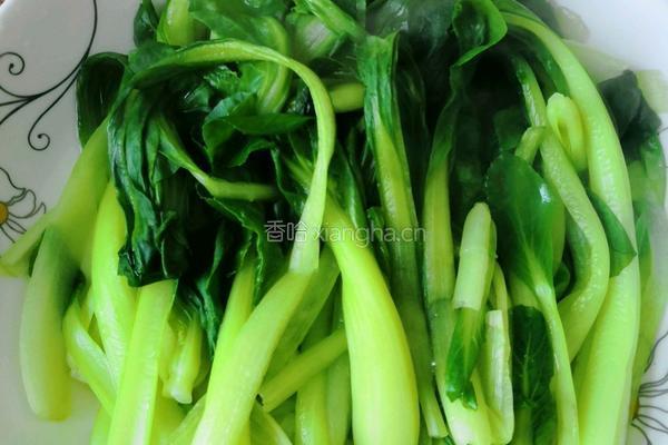蒜沫小青菜的做法图解5