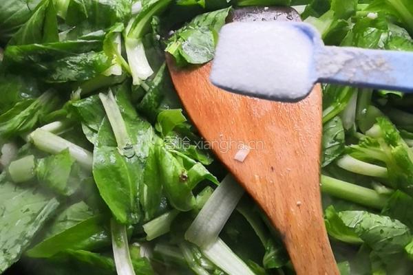 青菜豆腐的做法图解8