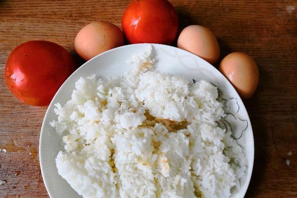 番茄鸡蛋炒饭的做法图解1