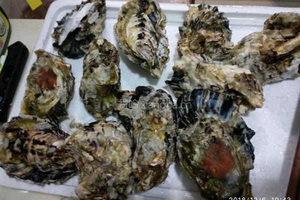 炸香酥海蛎子的做法图解1
