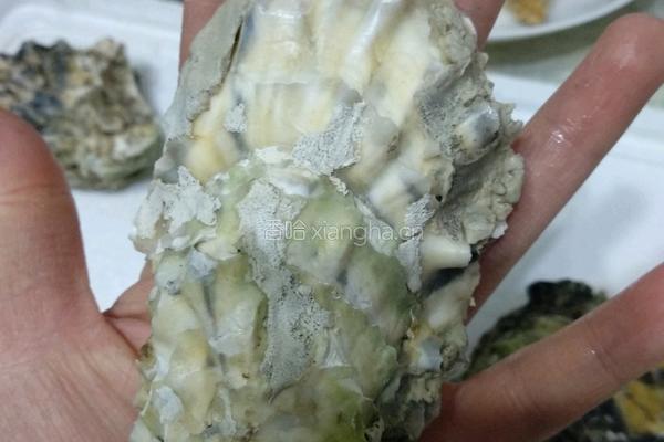 清蒸海蛎子的做法图解4