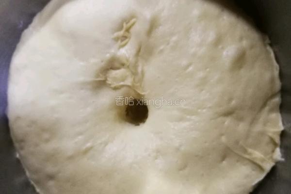 椰香汉堡胚（波兰种）的做法图解6