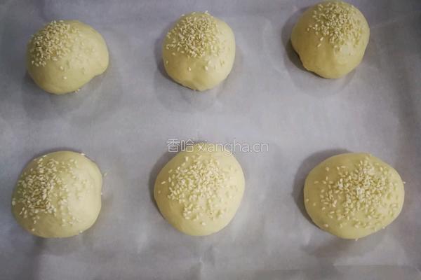 椰香汉堡胚（波兰种）的做法图解8