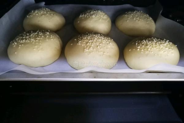 椰香汉堡胚（波兰种）的做法图解10