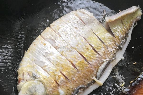 酸菜豆腐鱼的做法图解7