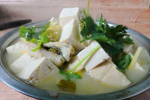 酸菜豆腐鱼的做法图解13