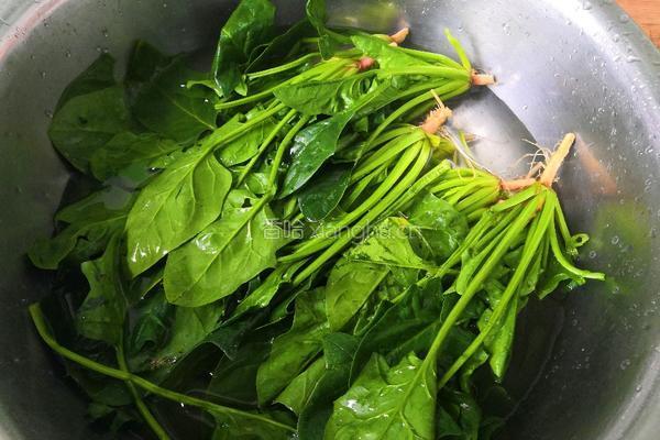 蒜狠辣菠菜的做法图解1
