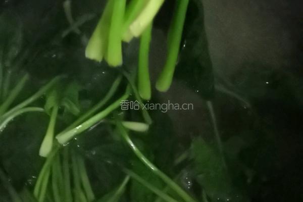 蒜狠辣菠菜的做法图解5