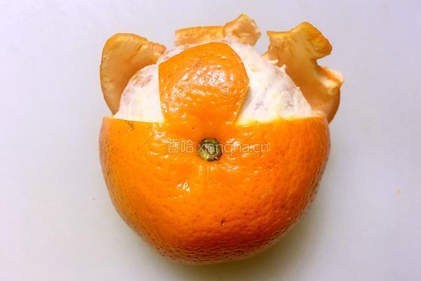 橘子花的做法图解6