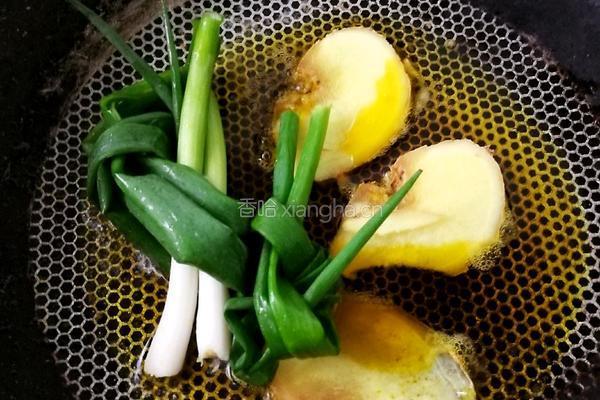 胡萝卜青蒜烧羊排的做法图解6