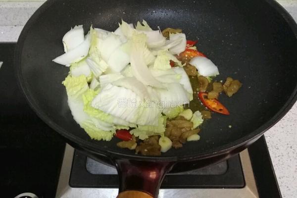 猪肉渣炒大白菜的做法图解4
