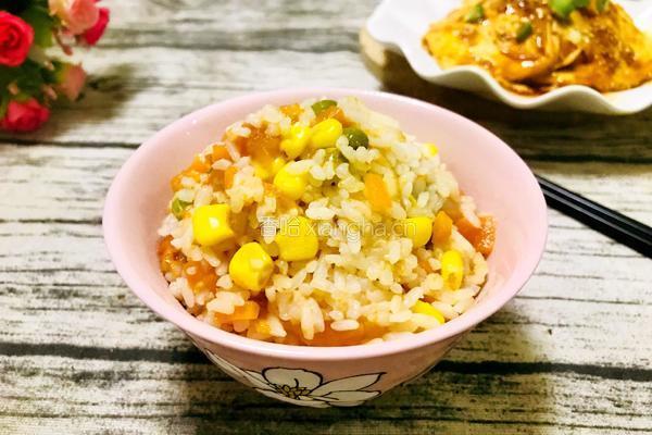 西红柿焖饭的做法图解7