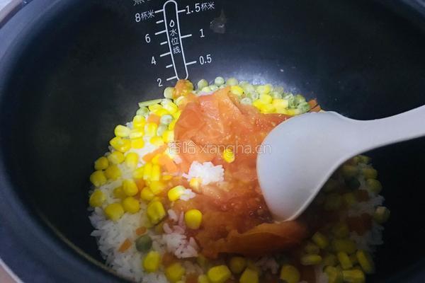 西红柿焖饭的做法图解6