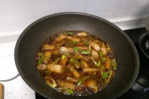 红烧肉（家常版）的做法图解4