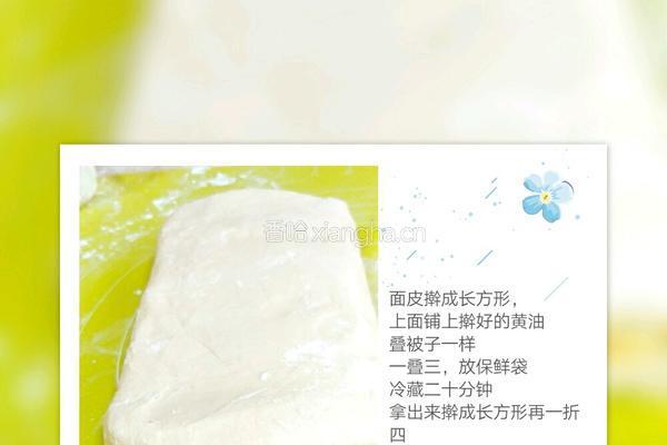 蝴蝶酥的做法图解3