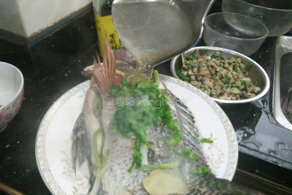 蒸鱼的做法图解7