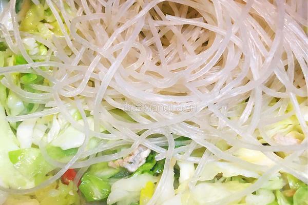 圆白菜炒粉丝的做法图解8