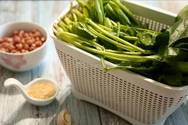 果仁菠菜的做法图解1