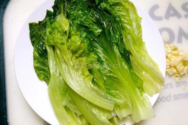 蚝油生菜的做法图解4