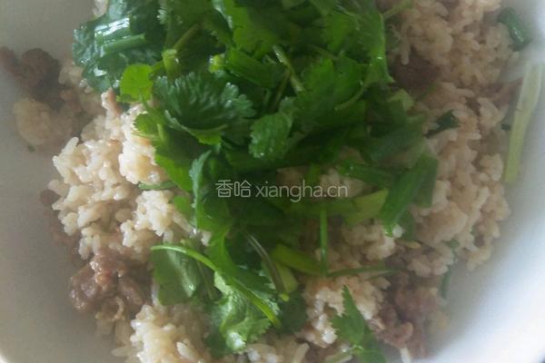爆炒牛肉饭