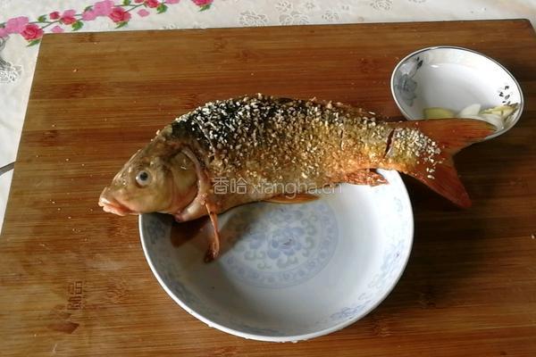 糖醋鲤鱼的做法图解4