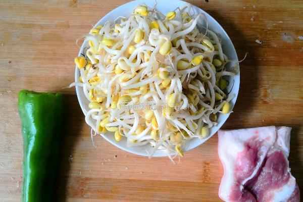 豆芽炒肉的做法图解1