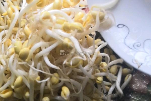 豆芽炒肉的做法图解6