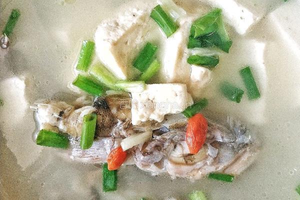 清炖楞蹦鱼（海鲶鱼）的做法图解4