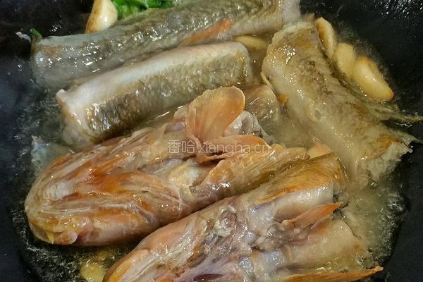 清炖楞蹦鱼（海鲶鱼）的做法图解2