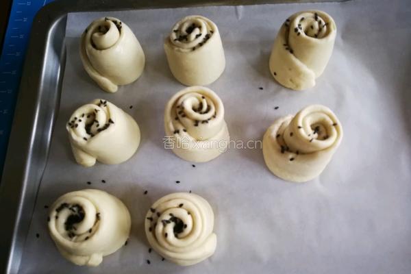 蜂蜜小软欧（波兰种）的做法图解12
