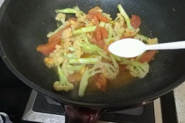 番茄花菜的做法图解6