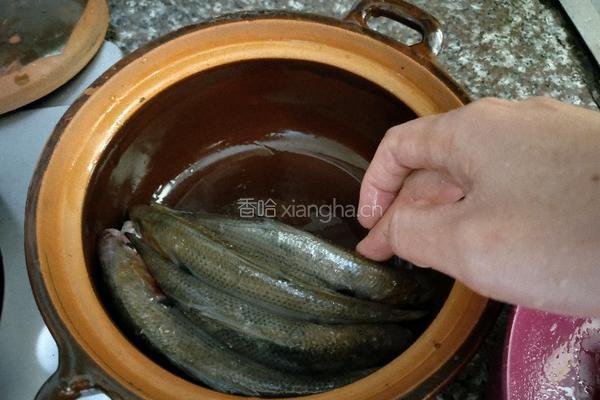 焗海鱼的做法图解3
