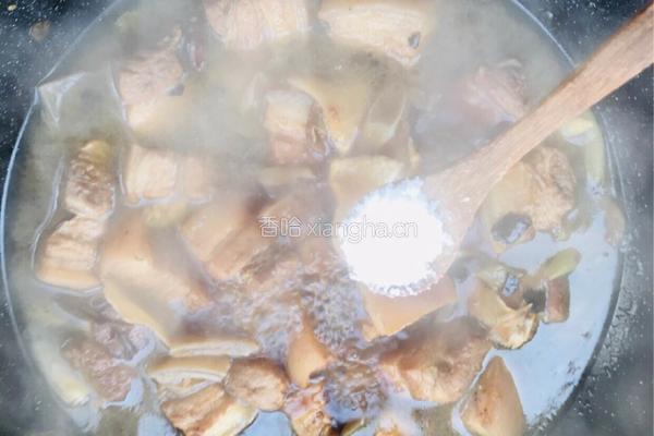 鲜果外婆红烧肉的做法图解19