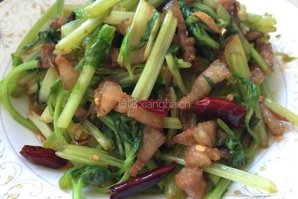 香芹炒肉的做法图解11