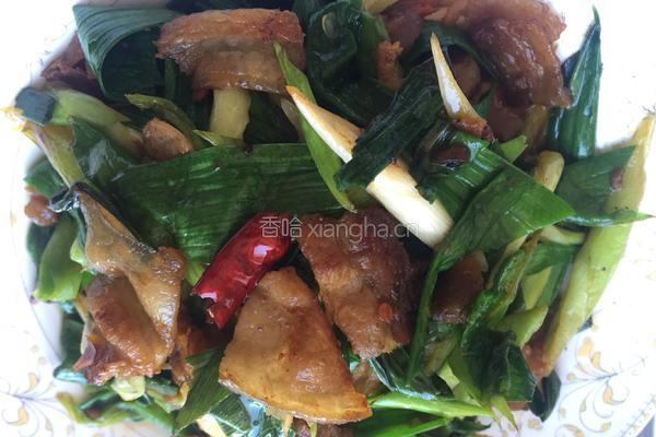 青蒜炒肉的做法图解12