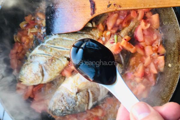 茄汁黄鱼焖豆腐的做法图解12