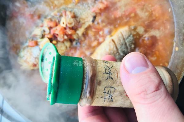 茄汁黄鱼焖豆腐的做法图解15