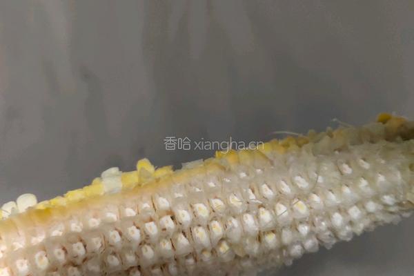 玉米粒汤的做法图解1