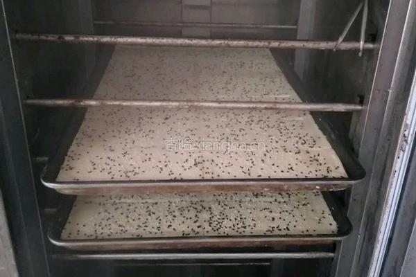 老北京香酥芝麻饼做法的做法图解4
