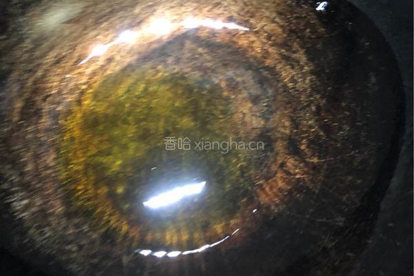 红烧排骨的做法图解6
