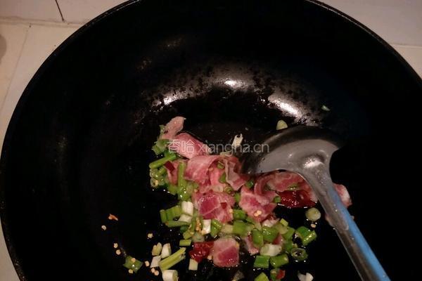 黄豆芽猪肉炖粉条的做法图解3