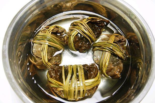 清蒸大闸蟹的做法图解2