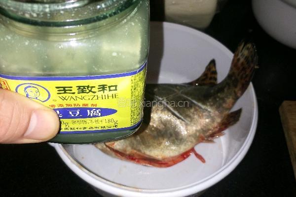 香煎臭鳜鱼的做法图解3