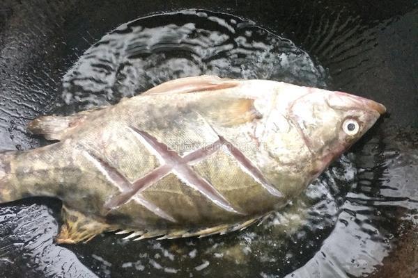 香煎臭鳜鱼的做法图解5