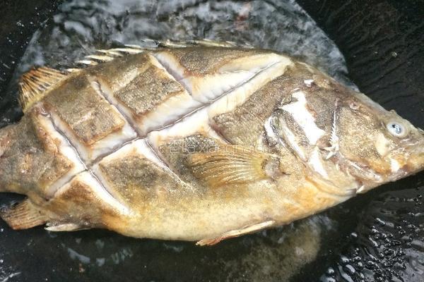 香煎臭鳜鱼的做法图解6