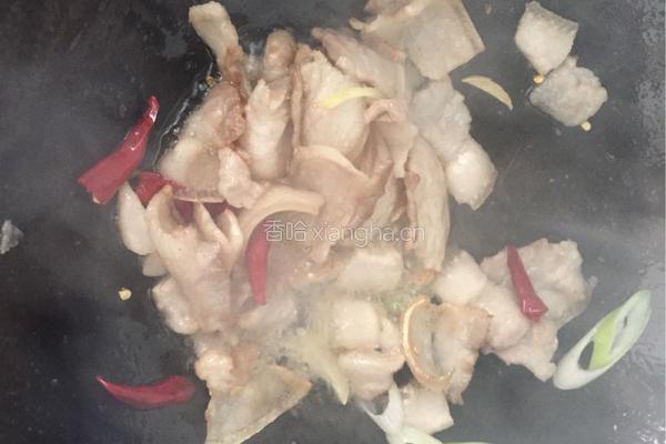 黄豆芽炒肉的做法图解6