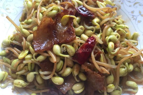 黄豆芽炒肉的做法图解10