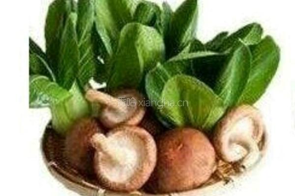 牛肉粉丝汤的做法图解7