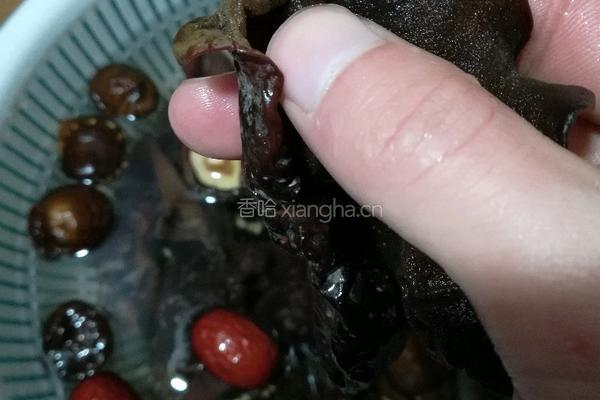黑木耳炖鸡汤的做法图解3